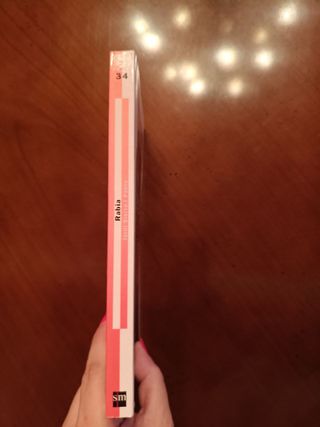 Rabia / Anger (Gran Angular: Alerta Roja / Big ...