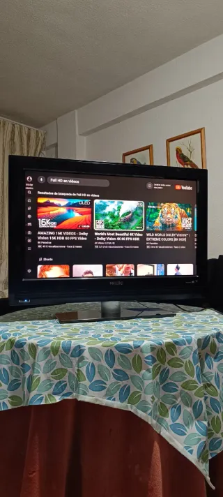 TV Philips LCD 32 Pulgadas + Chromecast Smart TV