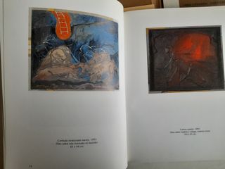 Vida de Emiliano de Bergegio. Autor: Octavio Colis