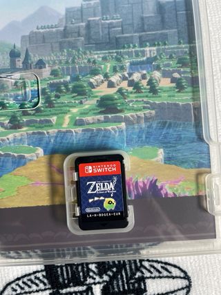 The Legend of Zelda: Echoes of Wisdom Switch