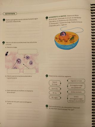 Biologia i Geologia 3r ESO - L'Essencial - Aprèn i Practica