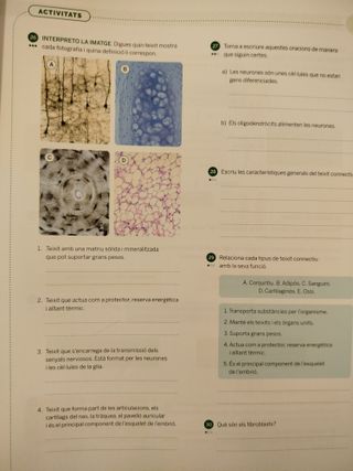 Biologia i Geologia 3r ESO - L'Essencial - Aprèn i Practica