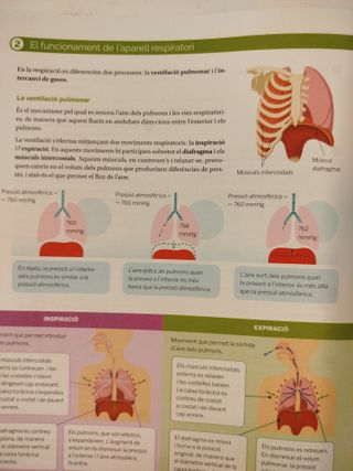 Biologia i Geologia 3r ESO - L'Essencial - Aprèn i Practica