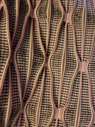 Chaqueta Cacharel Talla 4