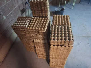 Hueveras de cartón.