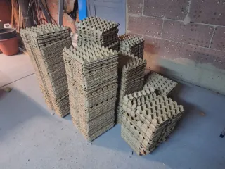 Hueveras de cartón.