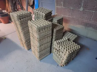 Hueveras de cartón.