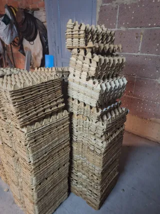 Hueveras de cartón.