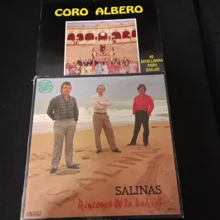 Lote 26 Vinilos Flamenco y Sevillanas