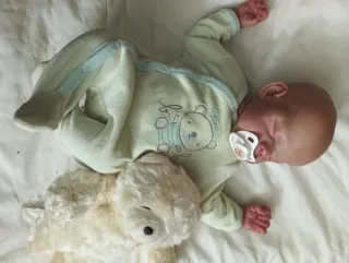 Muñeca Reborn pintada a mano con voz