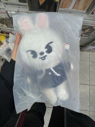 Peluche Stray Kids Skzoo