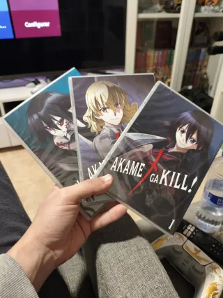 Akame Ga Kill Serie Completa DVD