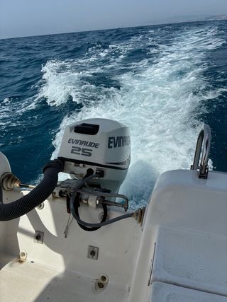 Motor Evinrude 25 etec