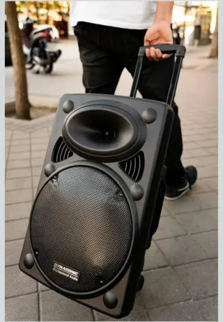 Altavoz Dynasonic Dynapro 12 + Micrófono