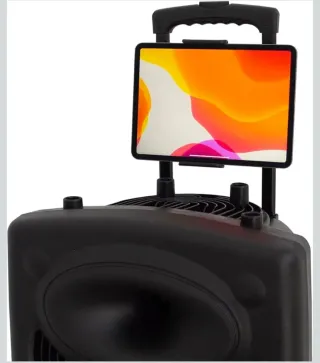 Altavoz Dynasonic Dynapro 12 + Micrófono