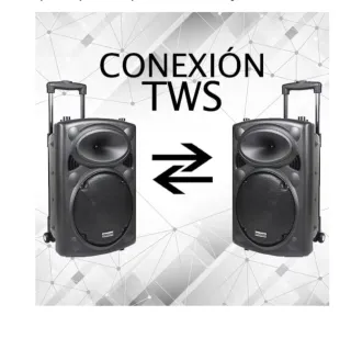 Altavoz Dynasonic Dynapro 12 + Micrófono