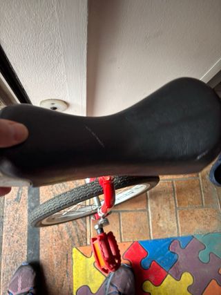 Monoruota Onlyone circo