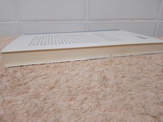 SOL NACIENTE (NUEVO)