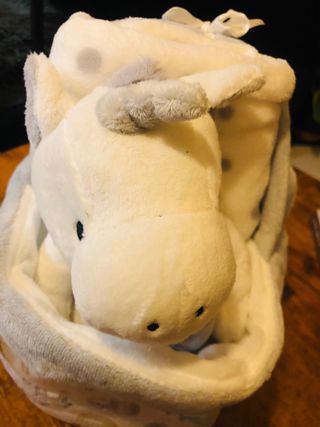 Conjunto Bebé: Manta y Peluche