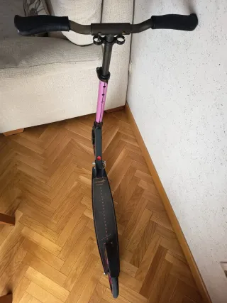 Patinete grande con diametr de rueda 215mm