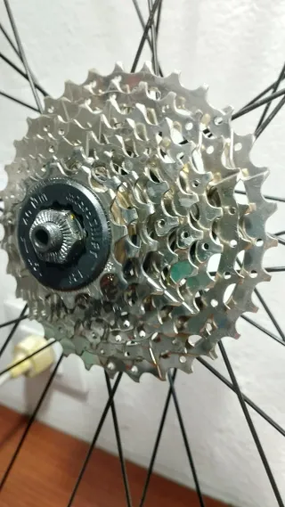 Rueda trasera 28 Gurpil