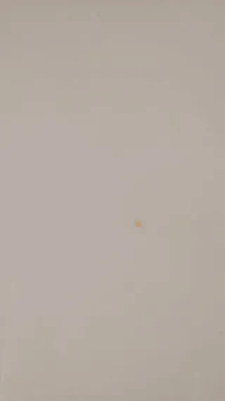 Tavolo rotondo bianco gambe in legno