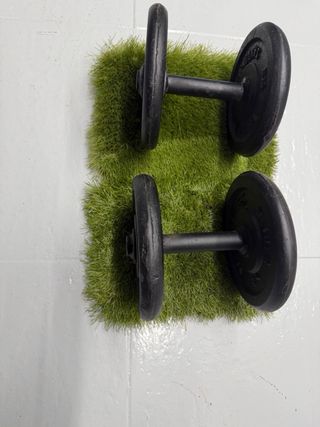 Mancuernas 10 kg Weider (Par)