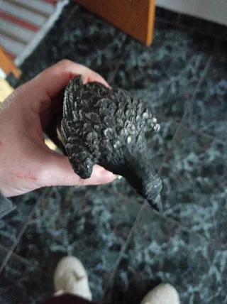 Figura Cuervo sobre Calavera y Libros