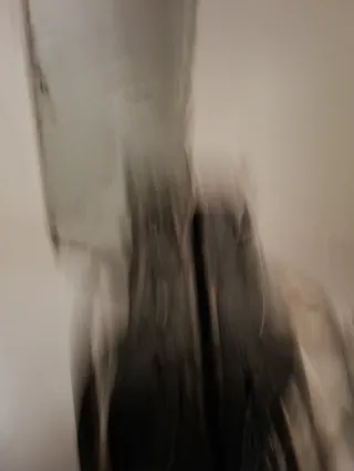 Cama Plegable Tela Gris