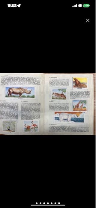 Álbum Cromos Animales del Zoo 1973