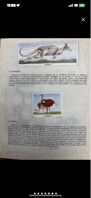 Álbum Cromos Animales del Zoo 1973