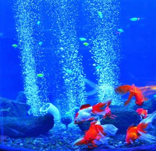 AIREADOR ACUARIO pecera bomba aire OXIGENADOR