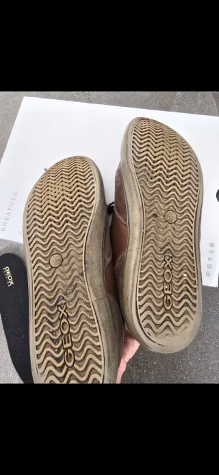 Zapatos Geox Marrones chico