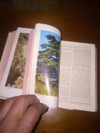La Santa Biblia