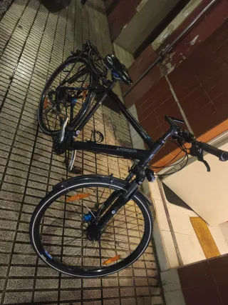 Bicicleta Pegasus Negra