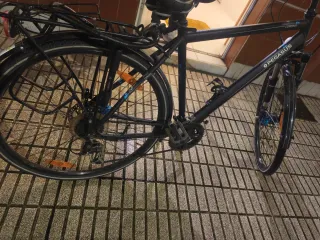Bicicleta Pegasus Negra