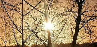 Oficina en venta en Arenales - Lugo - Avenida Marítima en Palmas de Gran Canaria(Las)