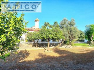 Chalet en venta en Rinconada (La)