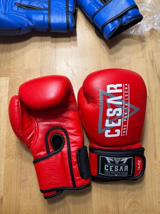 Guantes de Boxeo de Piel CESAR 14oz