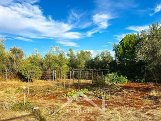 Terreno en venta en Almadén de la Plata