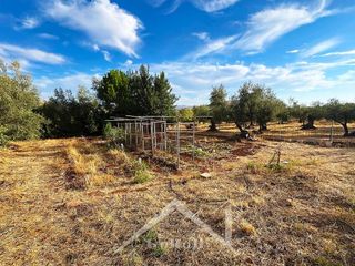Terreno en venta en Almadén de la Plata