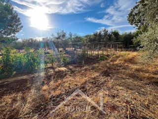 Terreno en venta en Almadén de la Plata