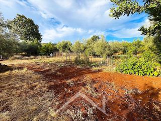 Terreno en venta en Almadén de la Plata
