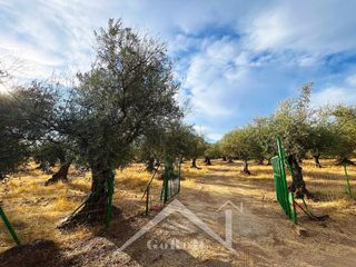 Terreno en venta en Almadén de la Plata
