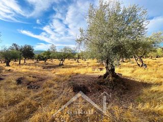 Terreno en venta en Almadén de la Plata