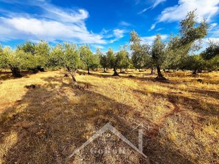 Terreno en venta en Almadén de la Plata