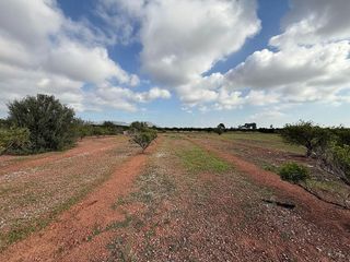 Terreno en venta en Puig ciudad en Puig