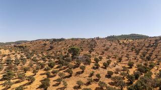 Terreno en venta en Zona de Cueva de Menga en Antequera