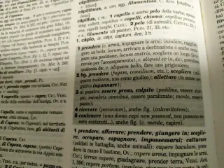 Vocabolario IL  Latino Italiano - Italiano Latino