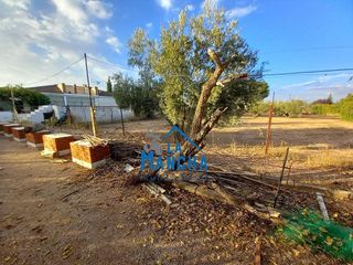 Chalet en venta en Pedro Lamata - San Pedro Mortero en Albacete
